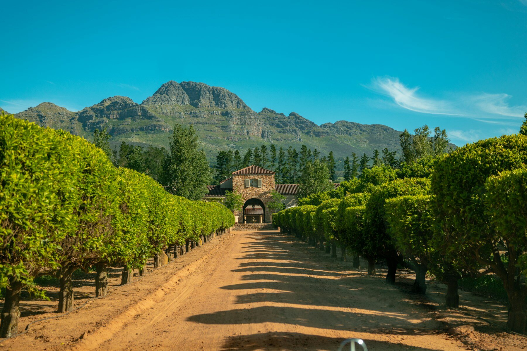 Weinlandschaft bei Stellenbosch